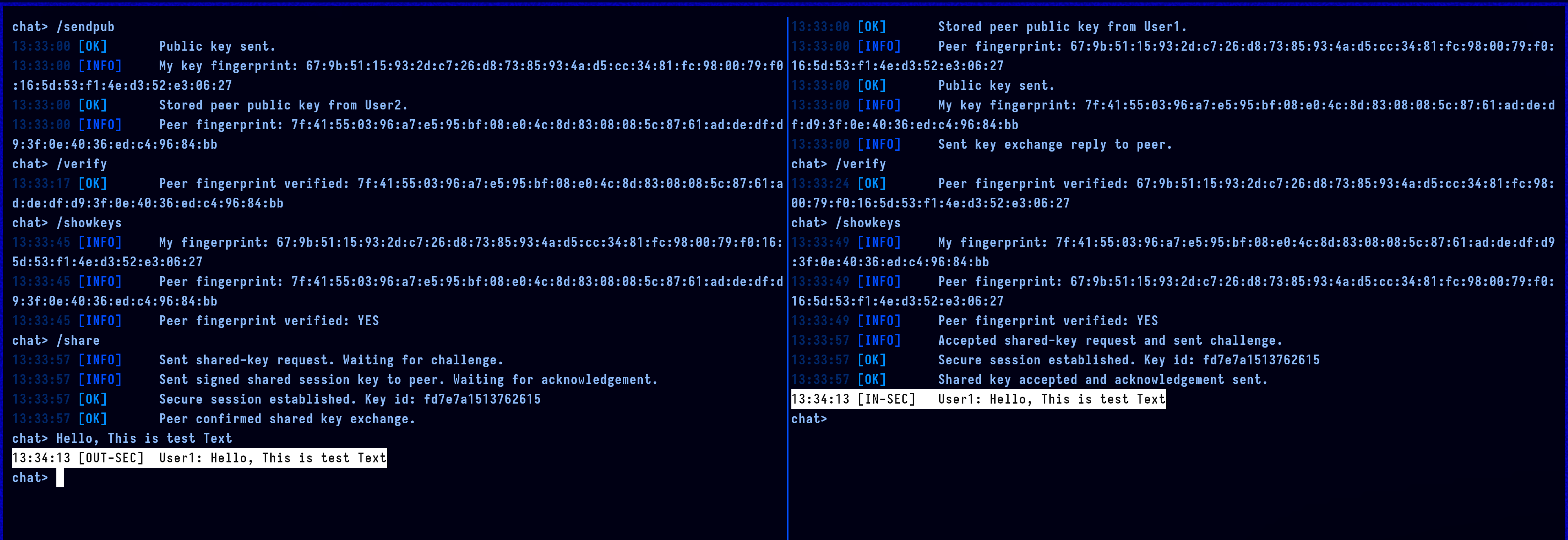 Secure session view