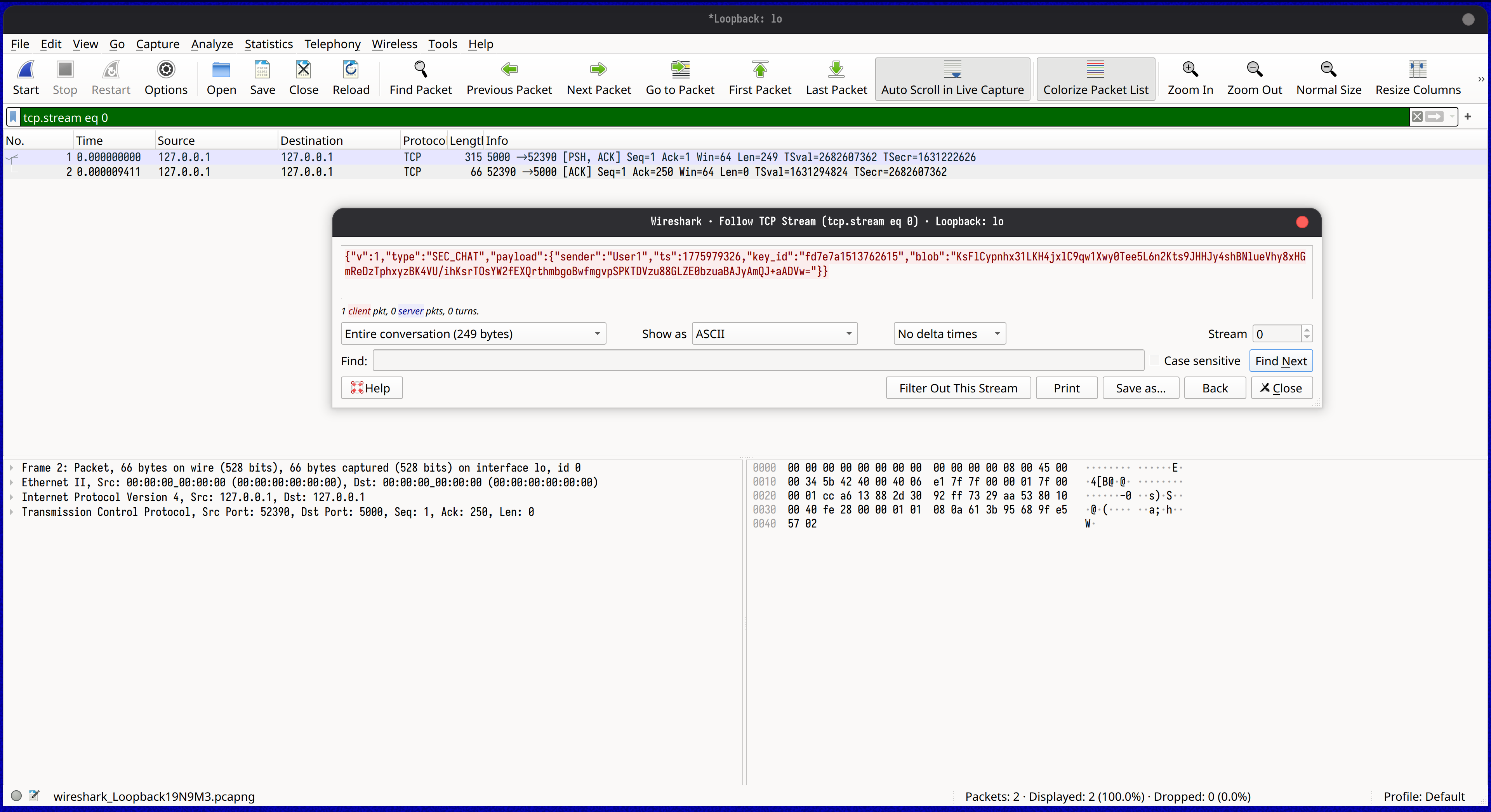 Wireshark — encrypted capture