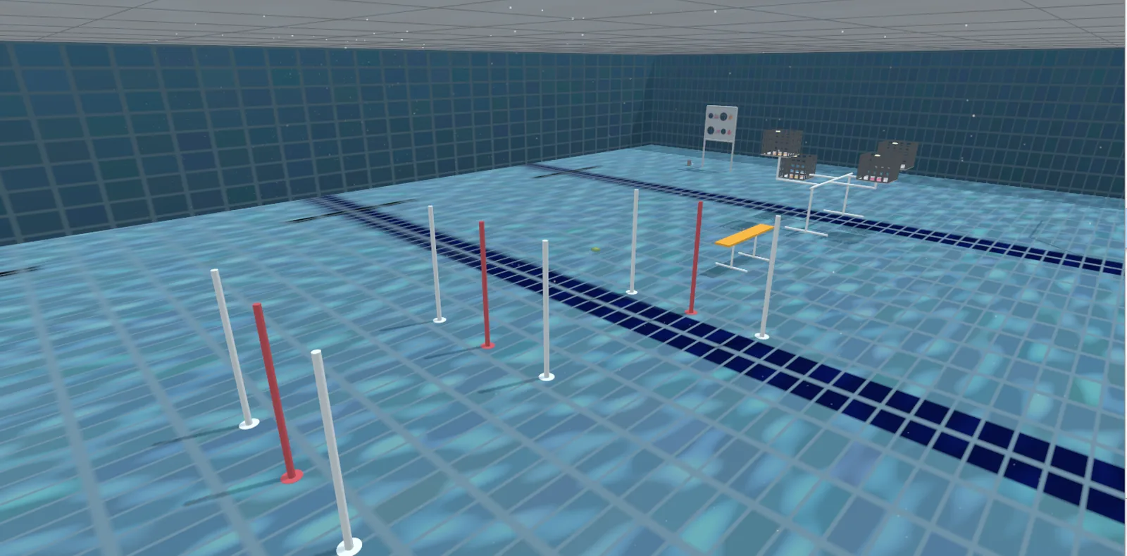 The slalom poles, red and white, from low in the water